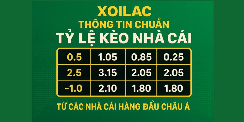 Nguồn thông tin chuẩn tỷ lệ kèo nhà cái 