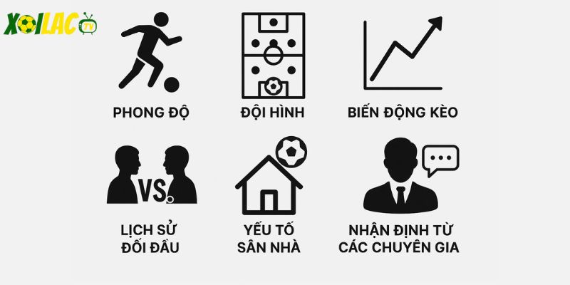 Yếu tố quan trọng ảnh hưởng đến phân tích tỷ lệ 